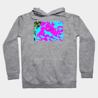 Aunt Ju Plane II / Swiss Artwork Photography Hoodie